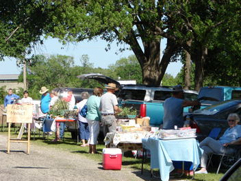 Farmer's Market